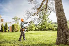 How Our Tree Care Process Works  in  Crestline, OH